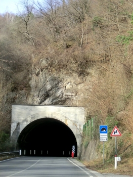 Tunnel Bregazzana