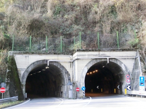 Tunnel Grotte di Valganna I