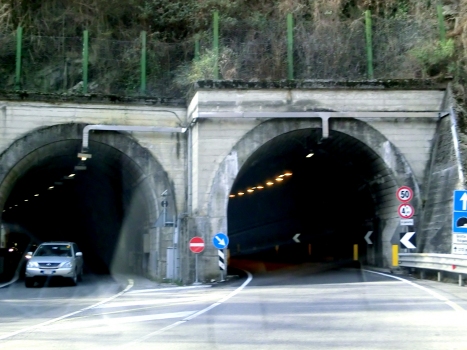 Grotte di Valganna I Tunnel (on the left) and Grotte di Valganna Tunnel (on the right) eastern portals