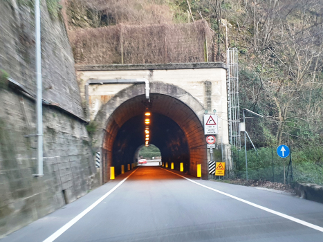 Tunnel de Grotte di Valganna I