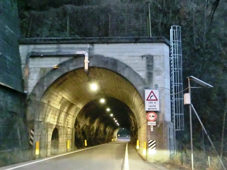 Grotte di Valganna I Tunnel western portal