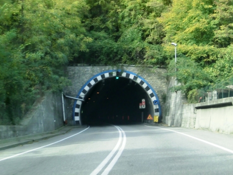 Carpeneda Tunnel eastern portal