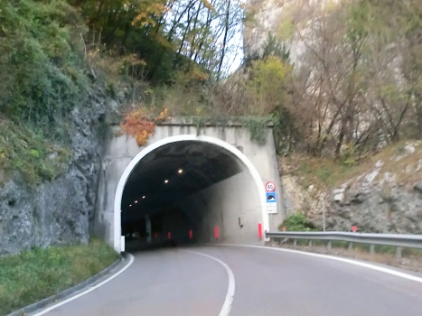 Ponte Pià Tunnel eastern portal