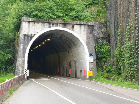 Ponte Pià-Tunnel