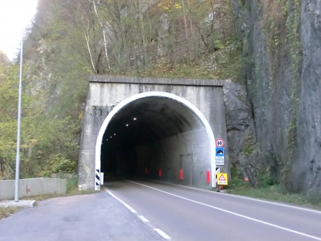 Ponte Pià Tunnel western portal