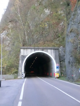 Ponte Pià Tunnel western portal