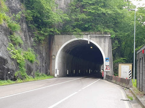 Tunnel Scurlo