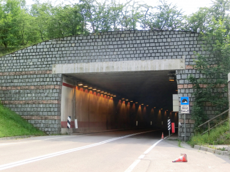 Varcé Tunnel northern portal