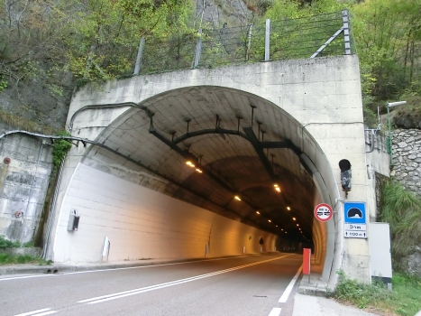 Dom Tunnel southern portal
