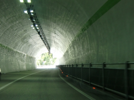 Tunnel de Petlin