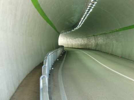 Petlin Tunnel