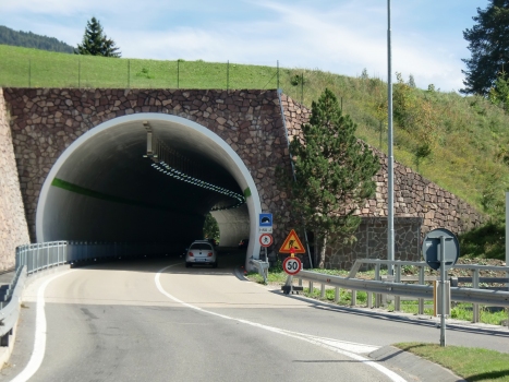 Petlin Tunnel western portal
