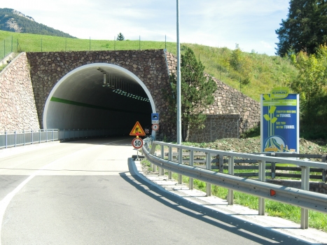Petlin Tunnel western portal