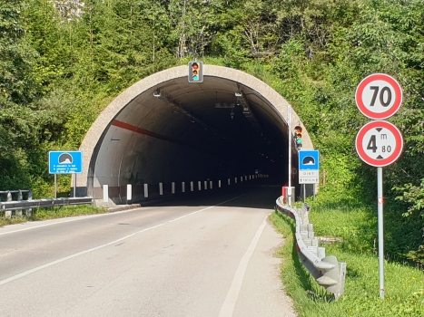 Dint Tunnel western portal