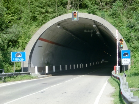 Dint Tunnel western portal