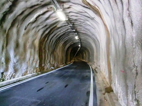 Monciaduda Tunnel eastern portal