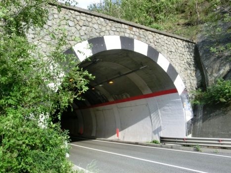 Tunnel Champrotard