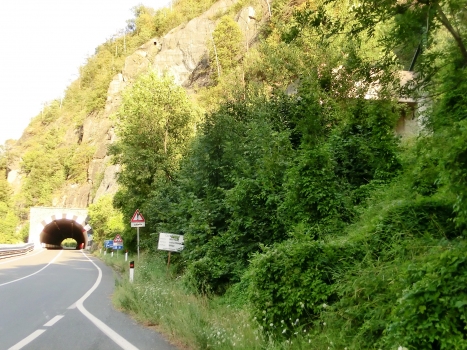 Leverogne road (on the left) and railroad (partially hidden, on the right) Tunnel western portals