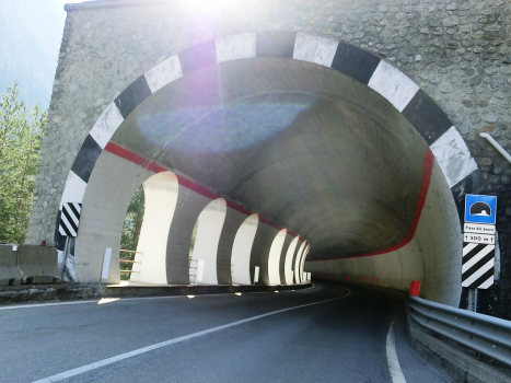 Tunnel Piano del Bosco