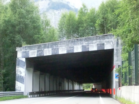 La Saxe 2 Tunnel southern portal