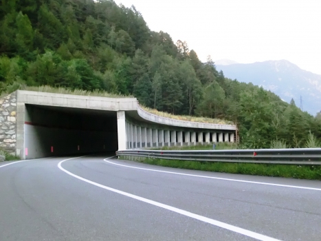 Tunnel de Palleusieux