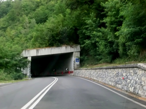 Dei Rocchini Tunnel southern portal