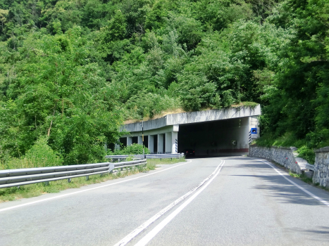 Dei Rocchini Tunnel