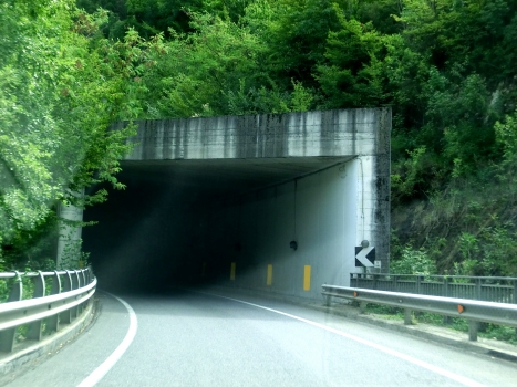 Giara di Rezzo Tunnel northern portal