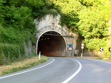Lesegno Tunnel western portal