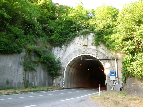 Lesegno Tunnel western portal