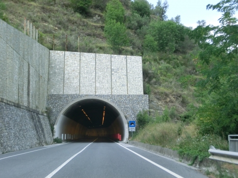 Sant'Antonio Tunnel (SS28) southern portal