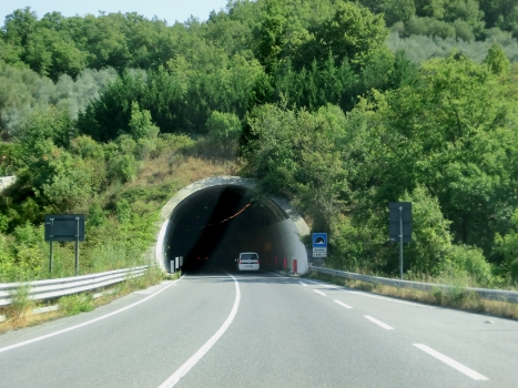 Tunnel de Zerbino