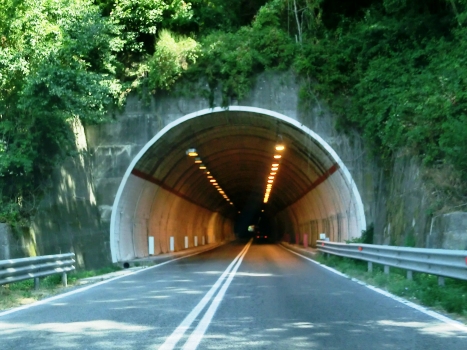 Gianfilippo Tunnel southern portal