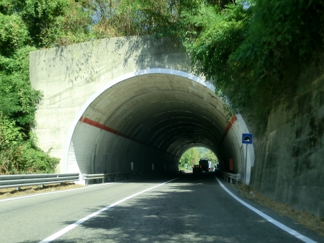 Tunnel im Zuge der SS283 (km 14,900)