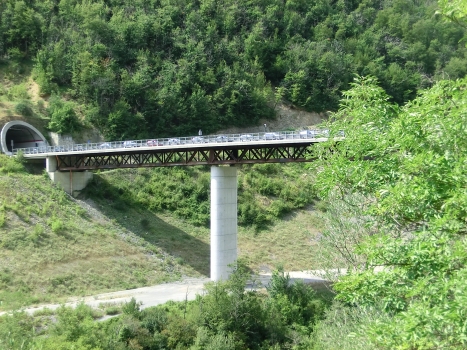 Talbrücke Arroscia