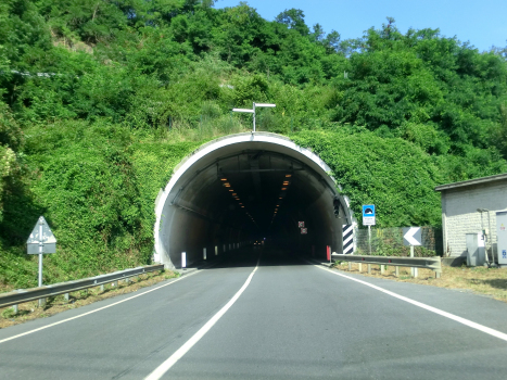 Tunnel de Fugona