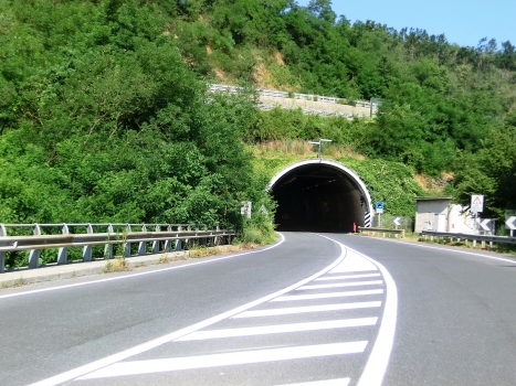 Fugona Tunnel western portal