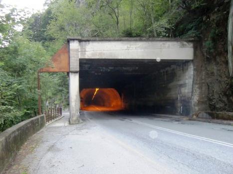 Capanne tunnel, northern portal