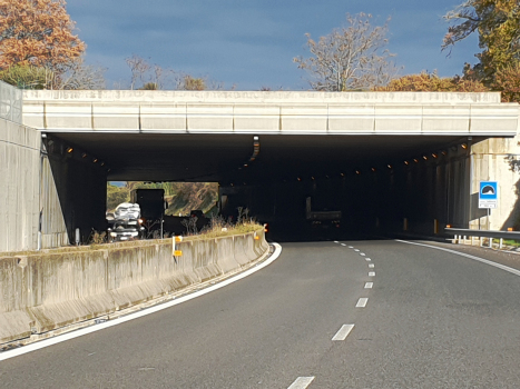 Fabbreria Tunnel northern portal