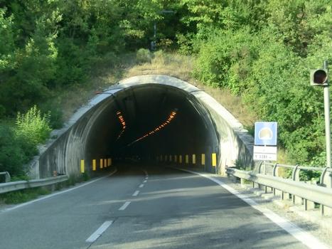 Furlo Tunnel western portal