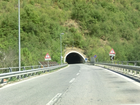 Furlo Tunnel western portals