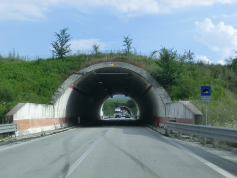 Tunnel de La Mandria