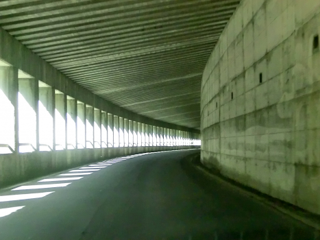 Bosco di Possa Tunnel