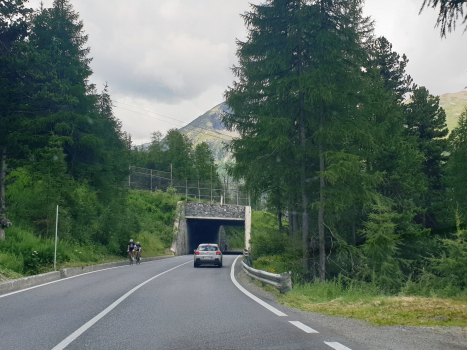 Tunnel de Pianoni Bassi I