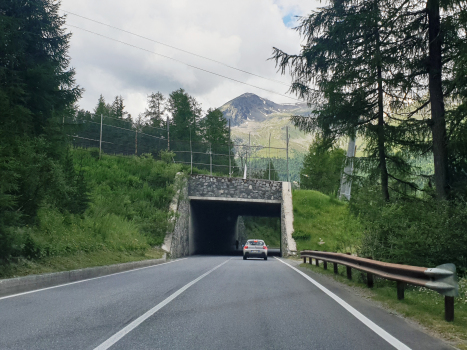 Tunnel de Pianoni Bassi I