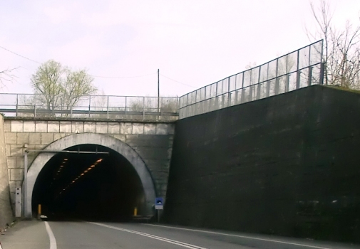 San Salvatore Tunnel northern portal
