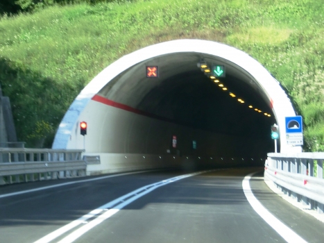 Casacastalda Tunnel northern portal