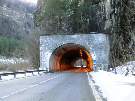 Balmalonesca Tunnel eastern portal