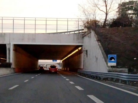 Del Gregge Tunnel southern portals