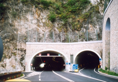 Dongo (the short on the left), Breva (the one that turns, on the left) and Tivano (on the right) Tunnel northern portals